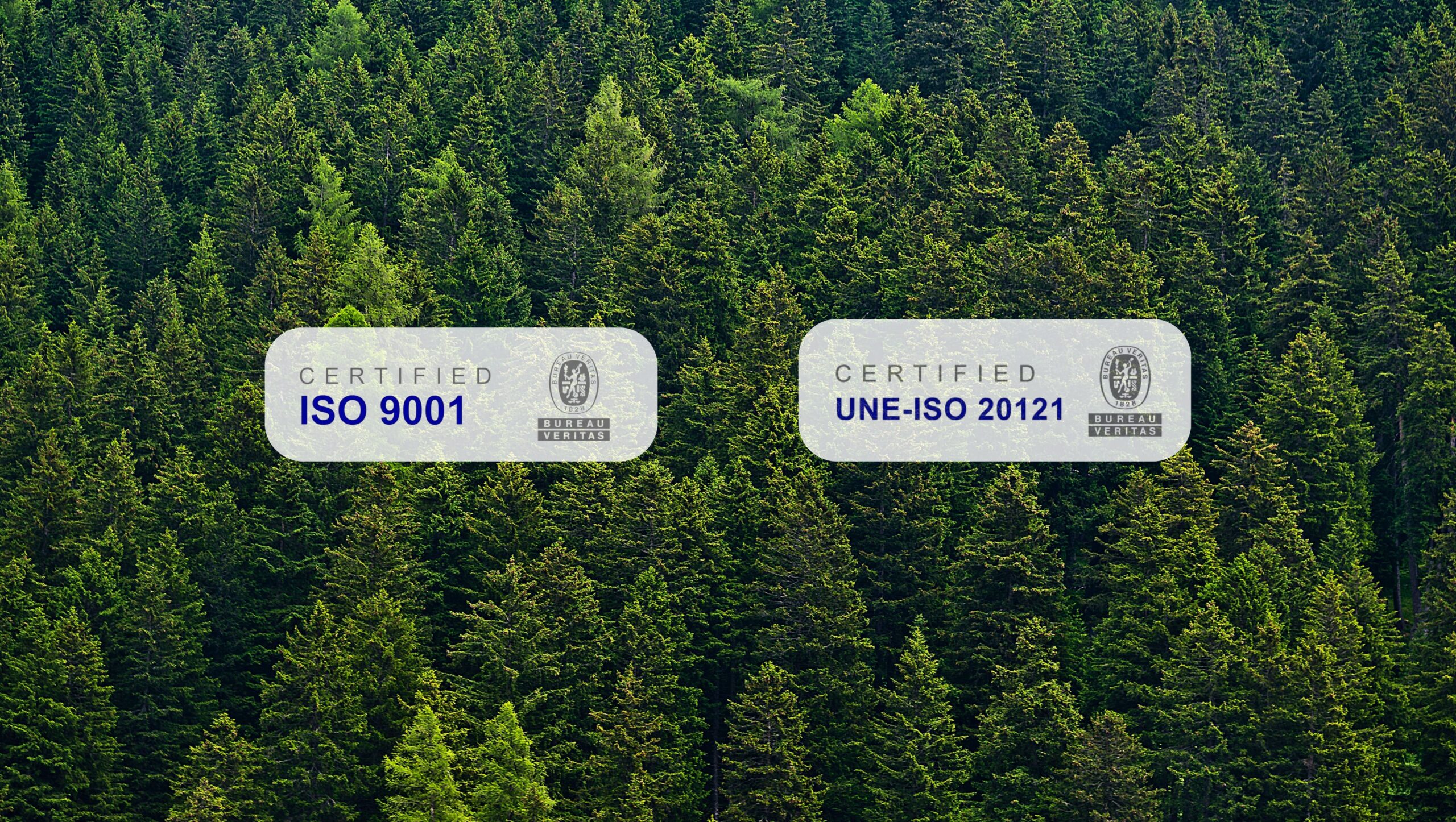 Solsona Comunicación obtiene la certificación ISO 9001